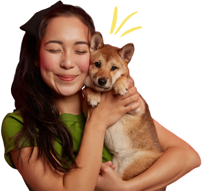 banner picture
